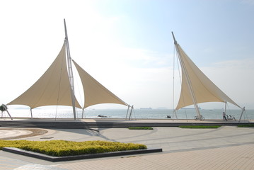 中医对胆的论述