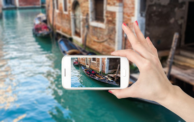 什么是生物的种和界?