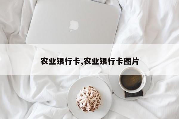 农业银行卡,农业银行卡图片
