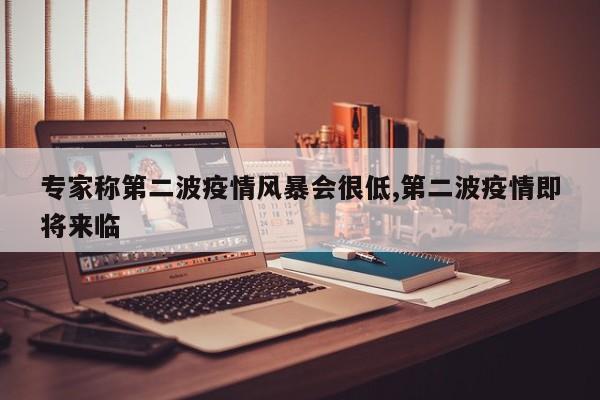 专家称第二波疫情风暴会很低,第二波疫情即将来临